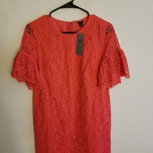 Ann Taylor Coral Lace Dress